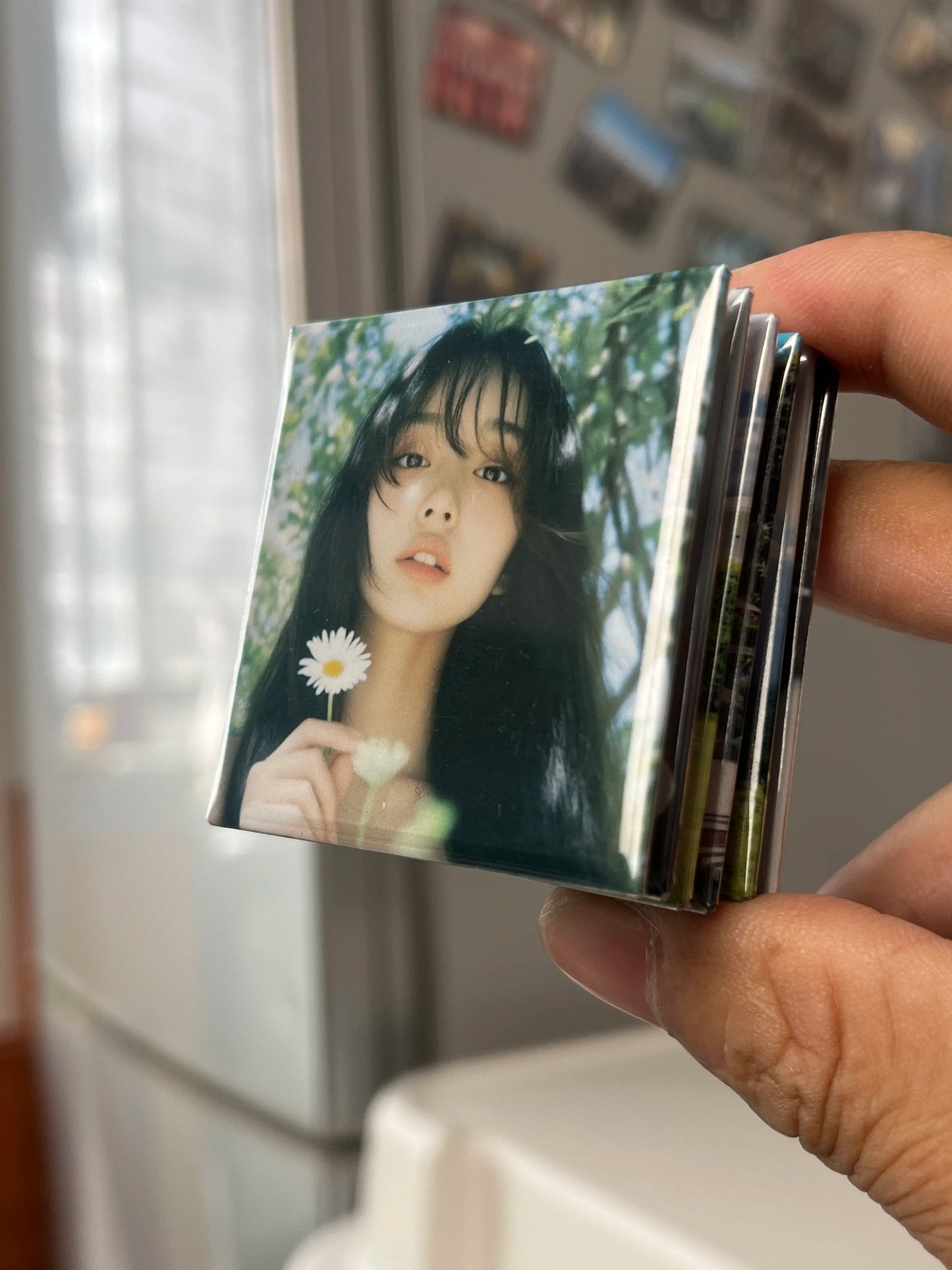 Six Free Custom Photo Magnets